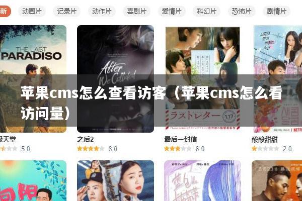 苹果cms怎么查看访客(苹果cms怎么看访问量)